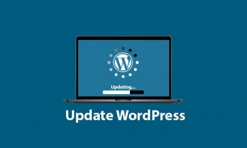 Update WordPress Website