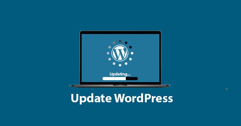 Update WordPress Website