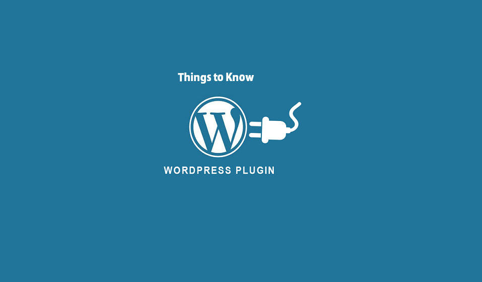 Things to Know - WordPress plugins