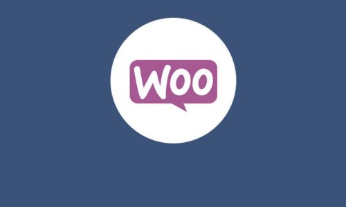 WooCommerce Backend is Slow