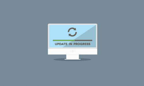 Disable Automatic Update for WordPress